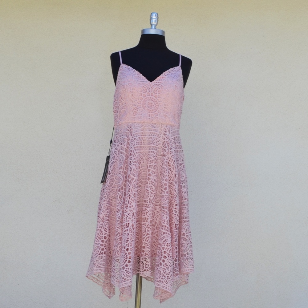Blush Lace Dress